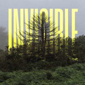 The Invisible EP - MKX