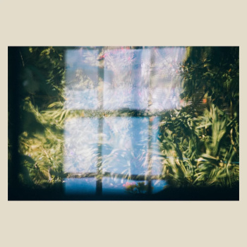 Music For Growing Flowers - MKX