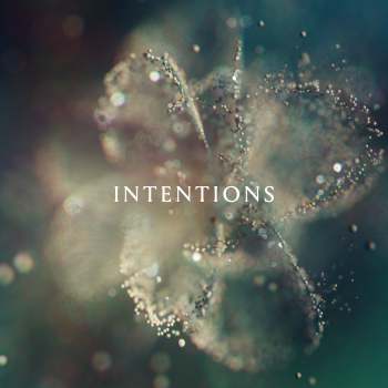 Intentions - MKX